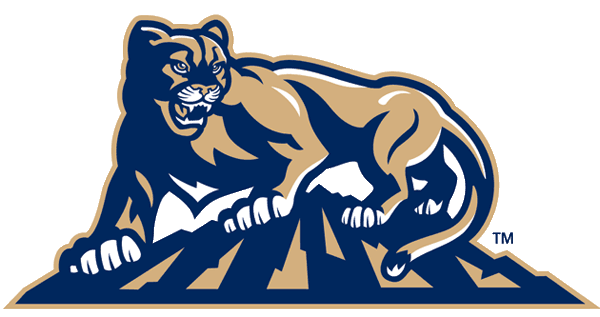 Brigham Young Cougars 1999-2004 Alternate Logo v2 iron on transfers for clothing